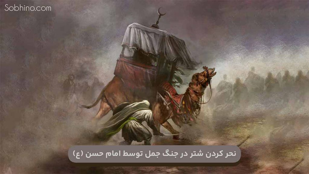 نحر کردن شتر در جنگ جمل توسط امام حسن